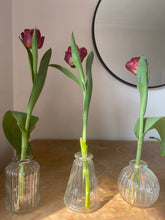 Load image into Gallery viewer, Clear Glass Bud Vase - three different shapes
